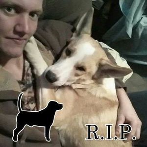 Meet your Posher, Cody